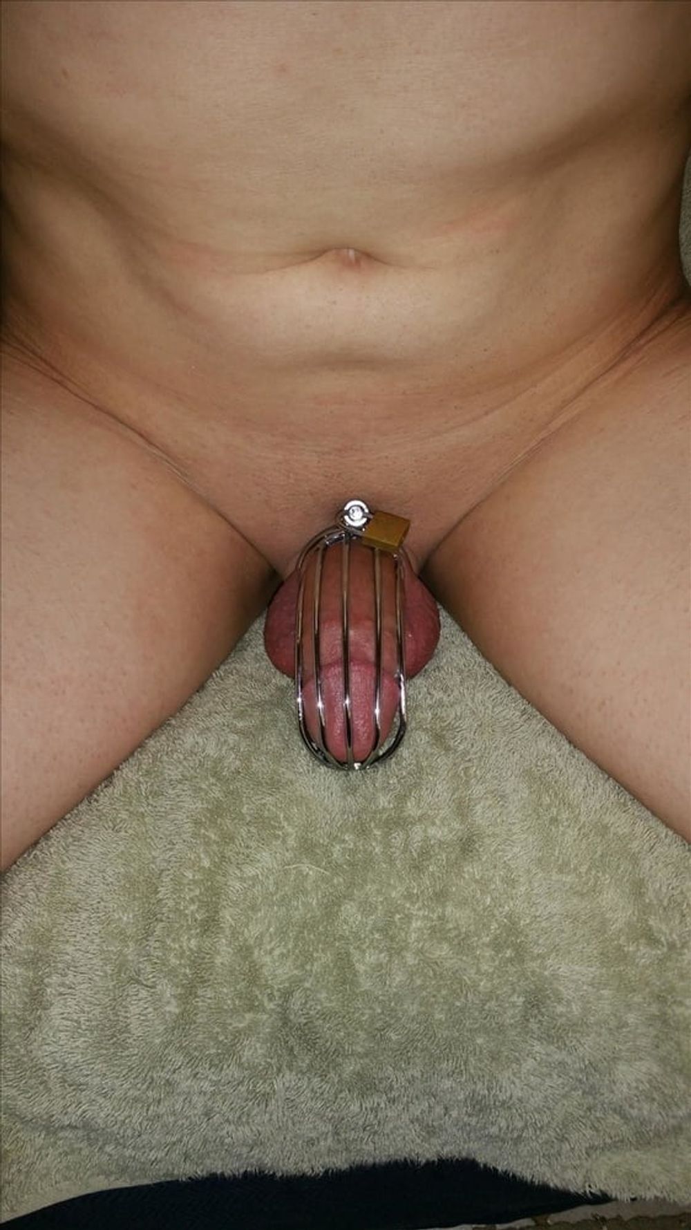 Cock in chastity #2