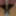 Mandatory weighing cagecheck plugcheck December 25, 2023 #5