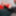 TGIRLS.XXX: It&#039;s An Addi Xmas