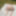 Teaser of body before today&#039;s stream