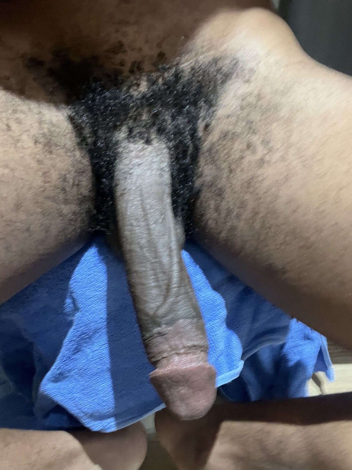 My BBC #5