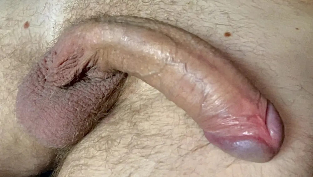 Big Veiny Cock