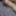 Flowersex786