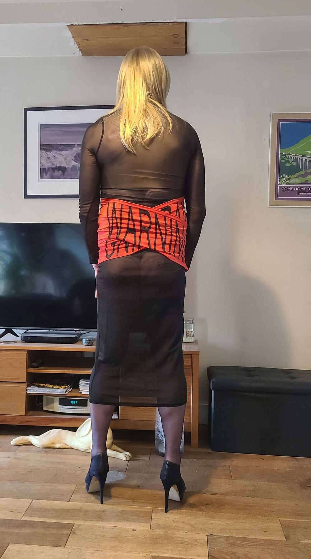 Sissy in warning dress #11