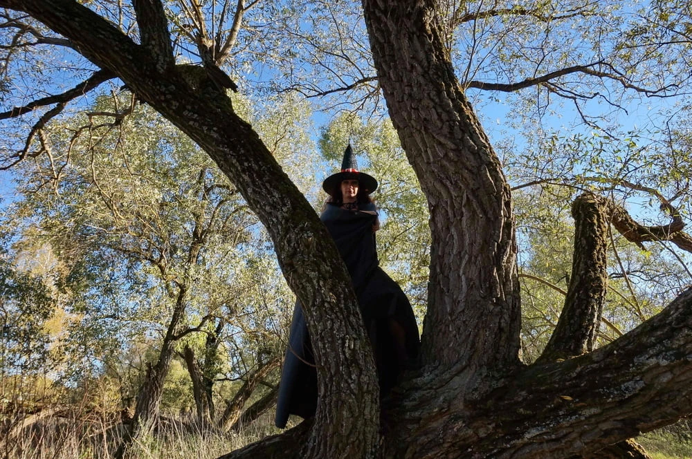 Witch on the Tree #4
