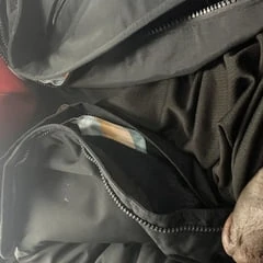 Hard dick