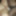 Curvy MILF Liisa takes a strapon #6