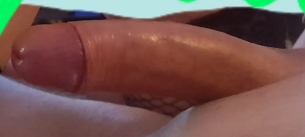 Cock #2