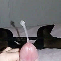 Playtime 2