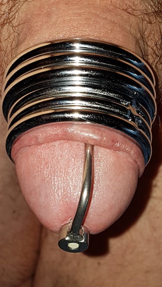 Cock ring #16