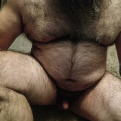Hairy Bear with Great Legs