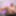 GROOBYGIRLS: Introducing Riley Ivy