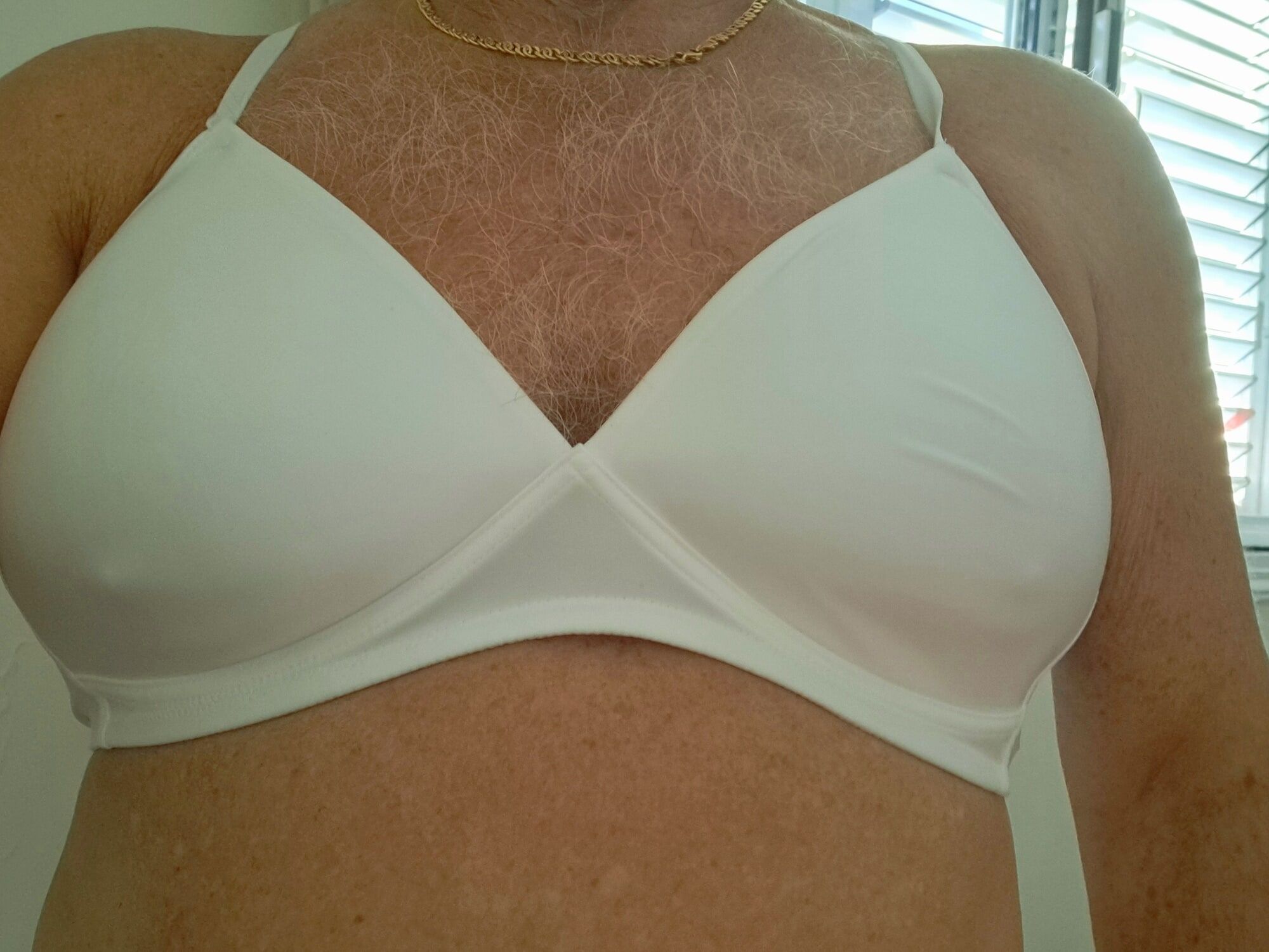 Il mio nuovo reggiseno