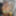 News ensemble vert et baiser directement 