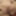 Lily Leigh's Intimate Playtime #6 (Part 2 of 2) #11
