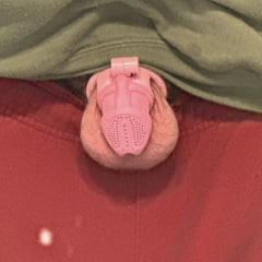 Sissy Clitty