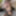 Squirting Lesbian Live Show with Camilla Creampie #52