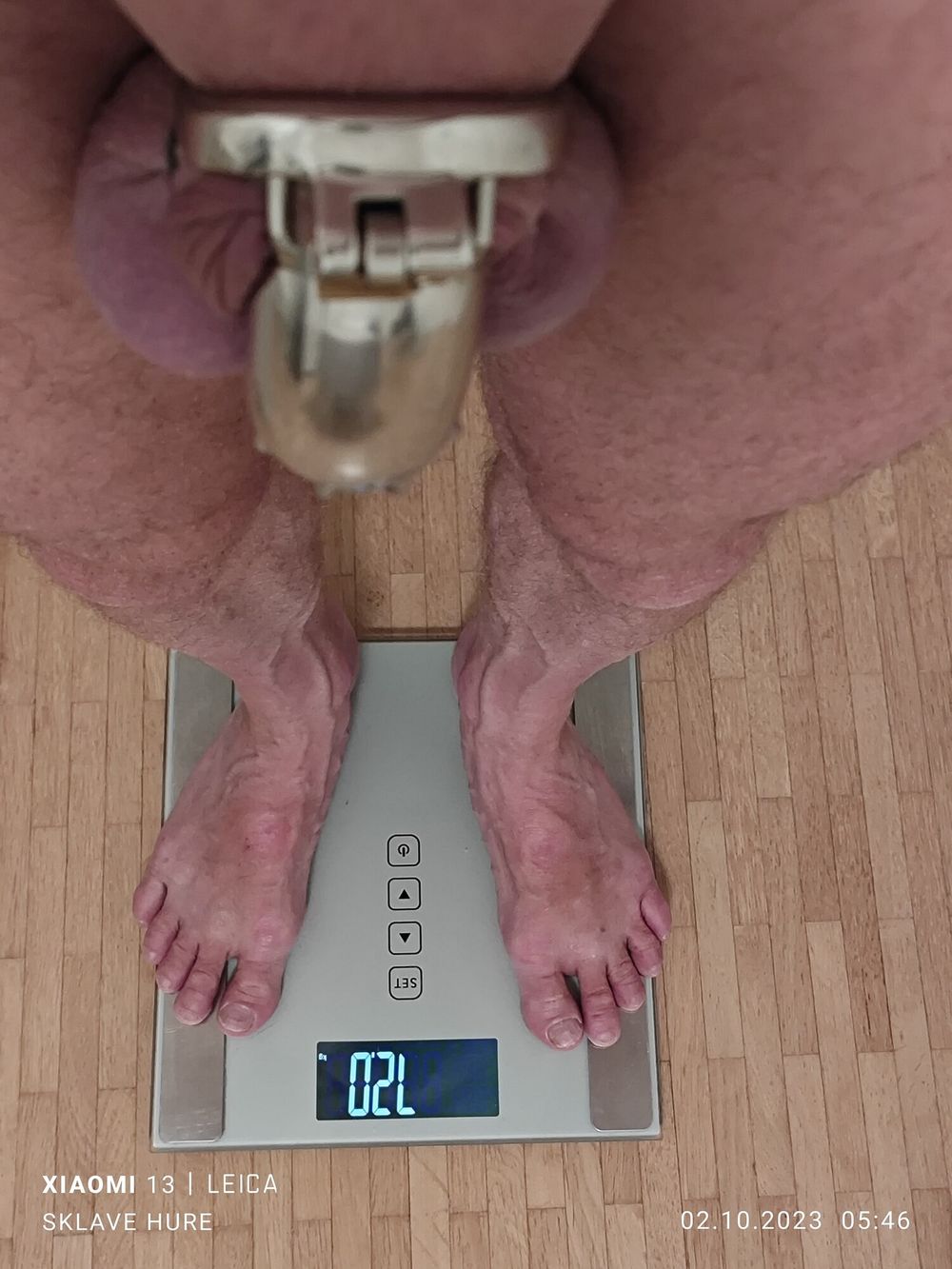 Weighing, Cagecheck, plugcheck Oktober 02, 2023 #2