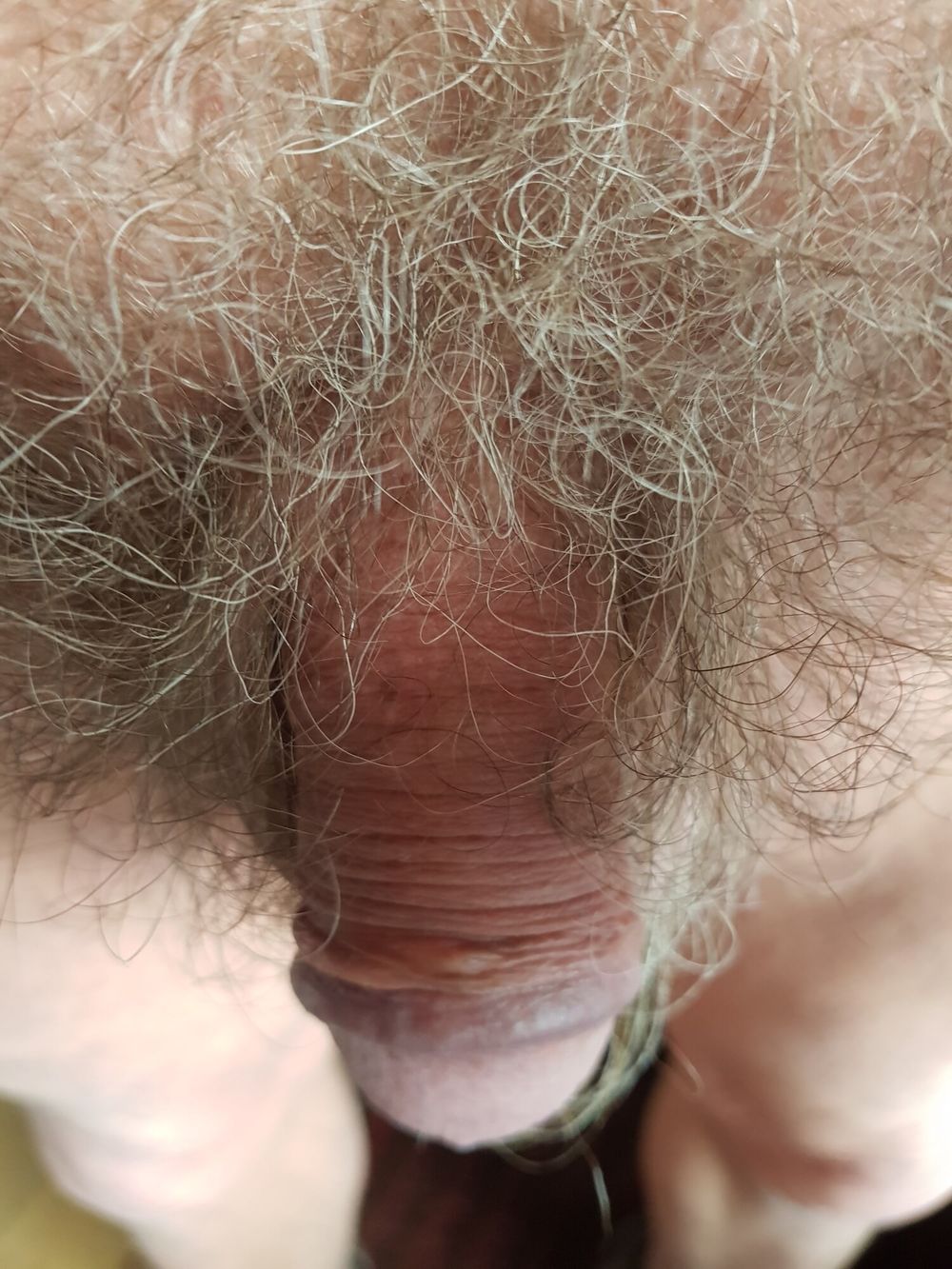 For hairy balls and pubes lovers #5