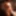 Photo Gallery #1