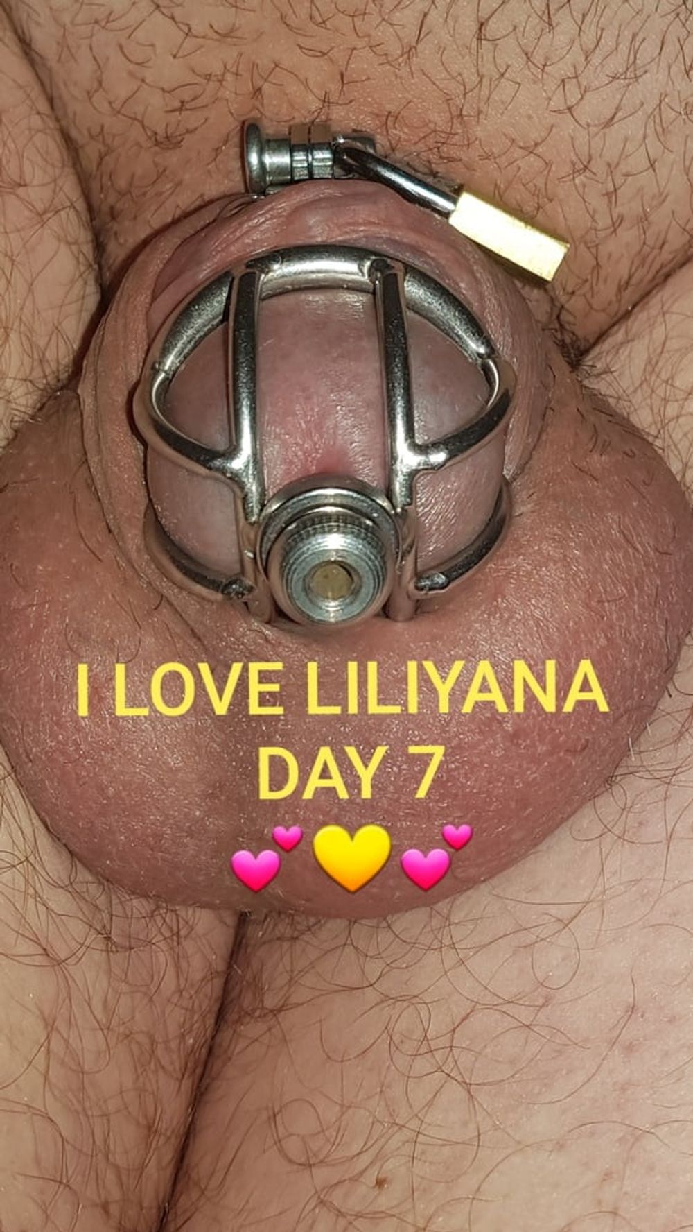 Chastity cage for Liliyana #7