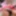 CBT: Destroying A Caged Sissy Clit With Hot Wax #5