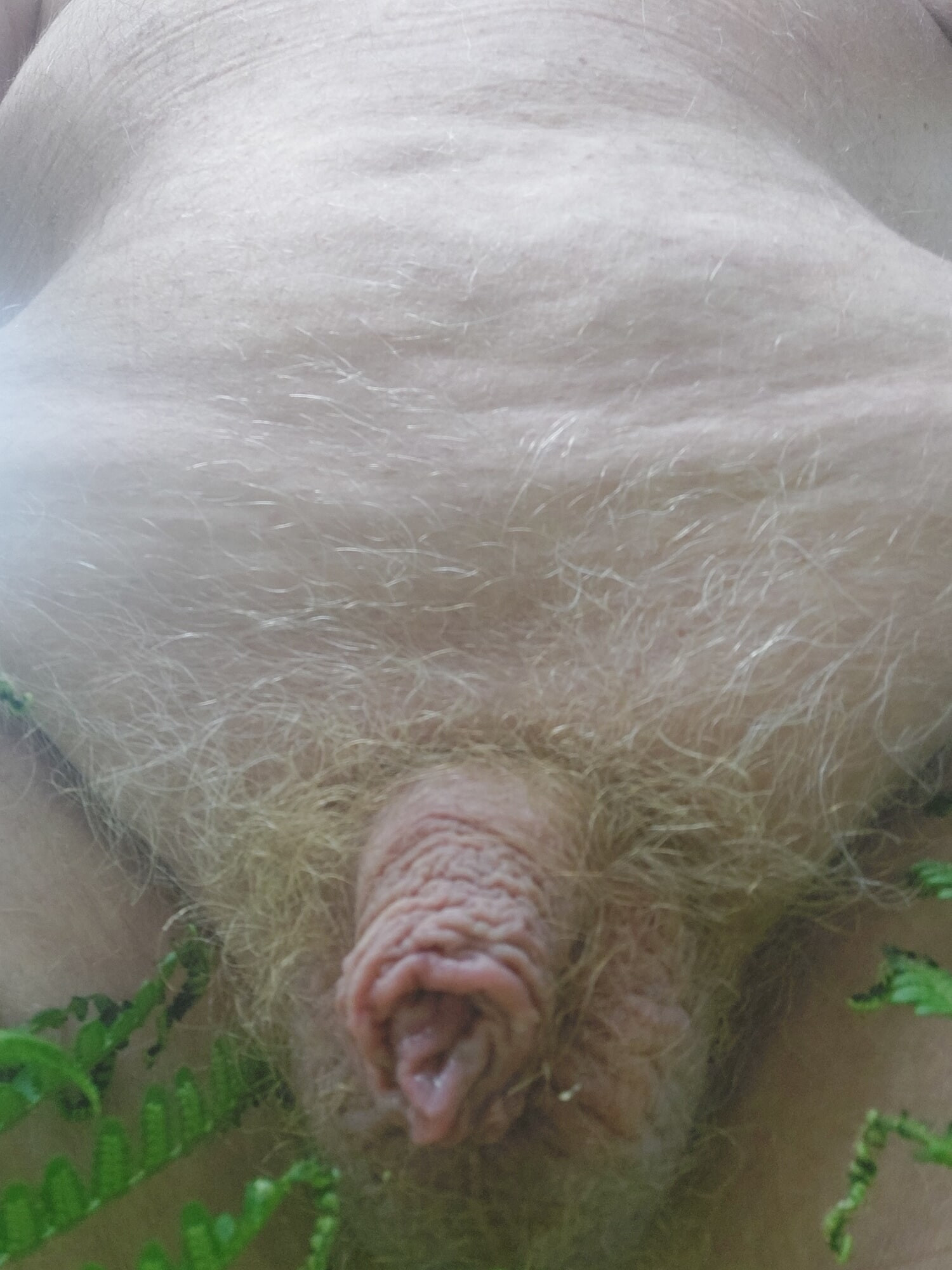 Small dick in the garden