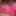 Leatransteen in Pink Satin Lingerie 