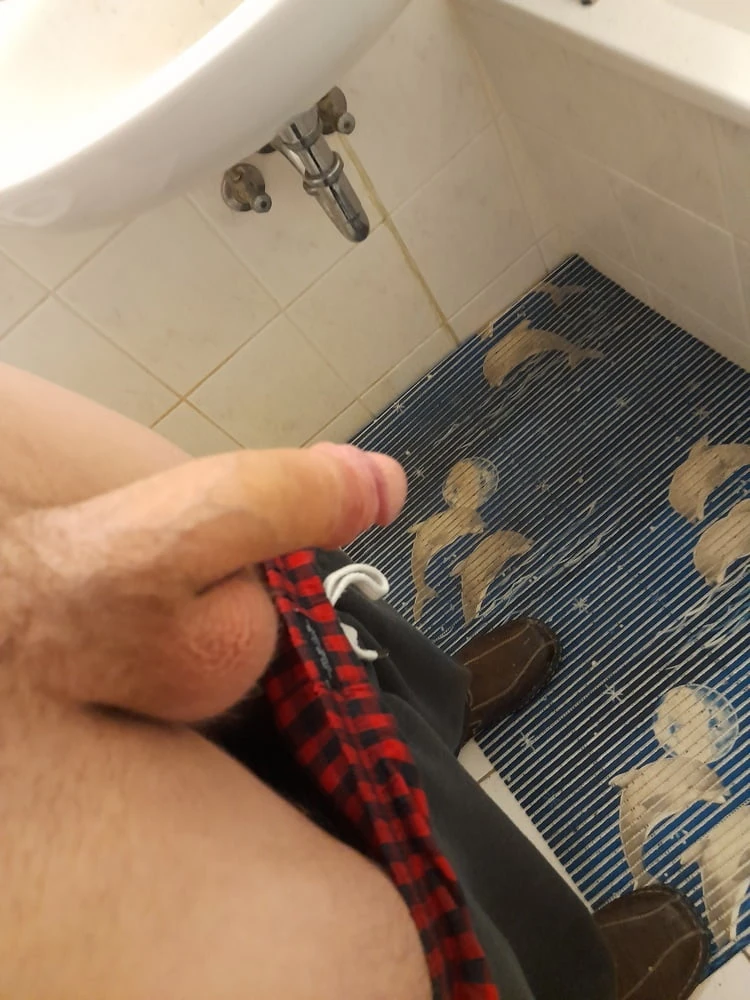 Mein schwanz