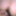 Double penetration, NICE ANAL CLOSE UP! Vol 3 #26