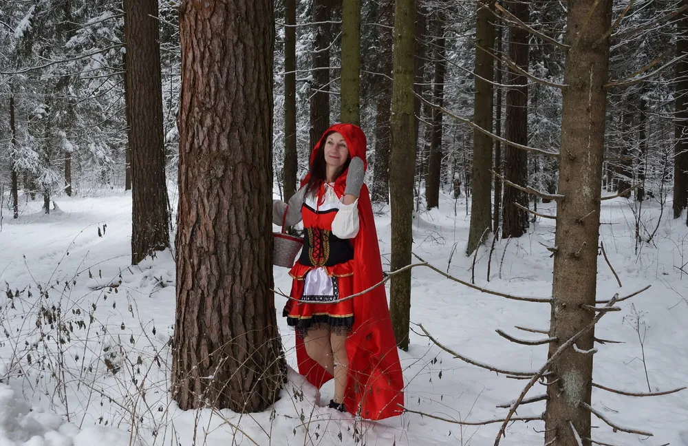 Little Red Riding Hood on a forest path #26