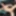 GROOBY-ARCHIVES: Anal Dildo For Willow #5