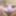 Squirting 60y Anal GILF Stepmom Rose Bud for BBC