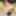 Naked gamer girl Rebecca Rainbow