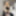 FEMOUT.XXX: Debuting Jillian Rose