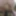 Photo insertion gros gode fisting anal dilatation 