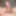 My rich cock with a rich erection and without waxing - 02 #24