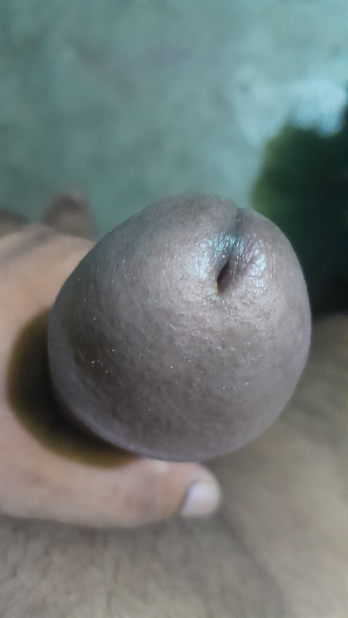 Pov  #12
