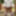 Amateur crossdresser Kellycd2022 sexy milf white stockings 