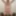Mandatory weighing cagecheck plugcheck November 03, 2023