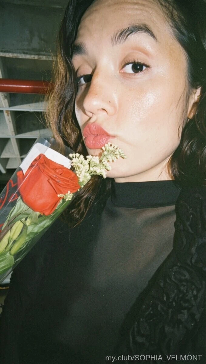 免费索菲亚照片