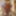 Amateur crossdresser Kellycd2022 sexy milf in white lace #35