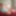 2019 random  #23