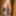 NEW 2019 Pics #45