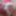 elf cock with dildo #5
