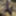 Flroian Johannes Mueller nude at the beach #38