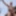 exhibitionist opa public oudoor fucking his ass with pole  #5