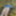 Cover up, reveal #57