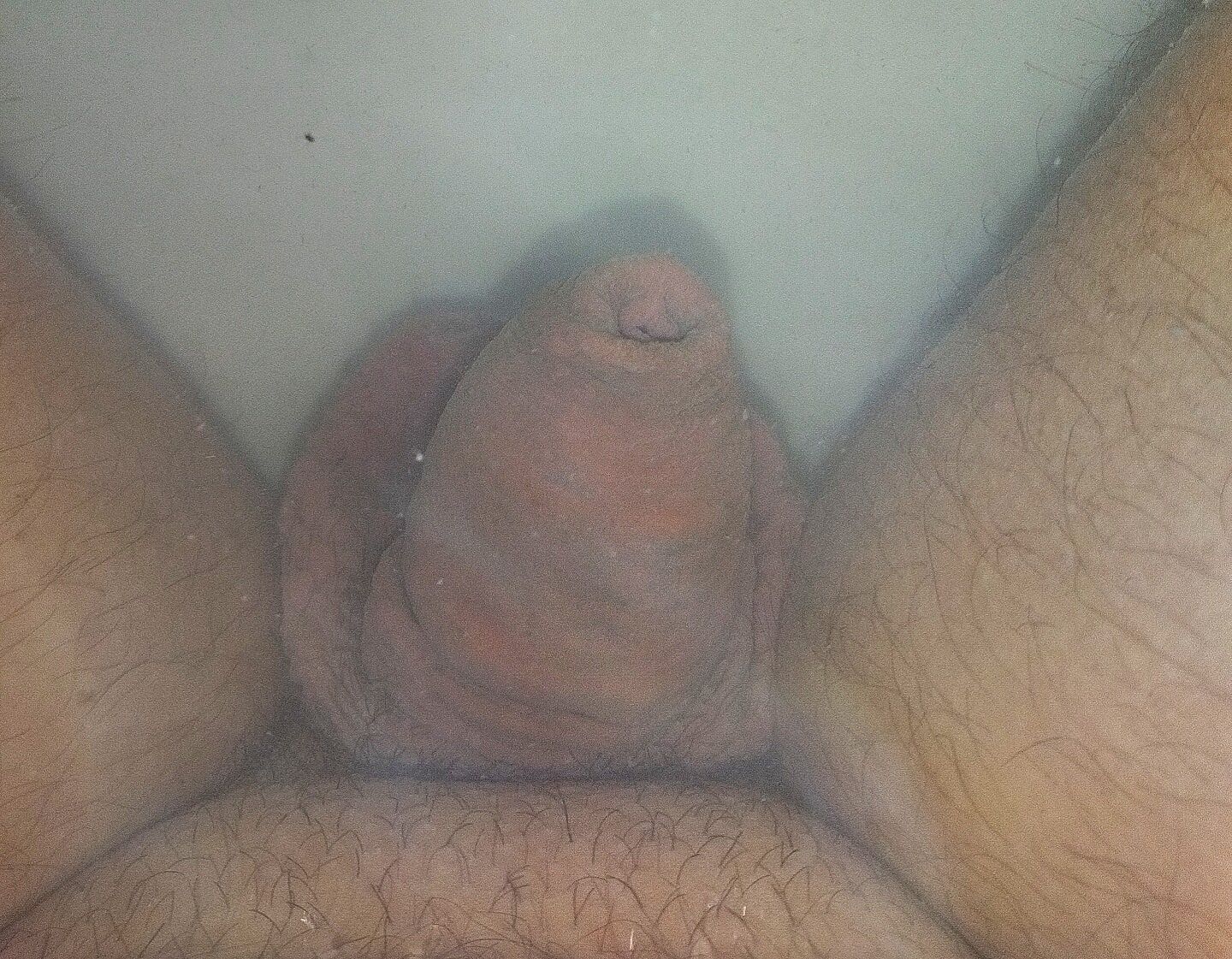 After 37 days on chastity clitty smaller than thumb #7