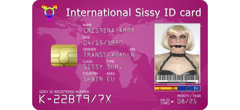 A sissy ID card: One card to rule them all! 2